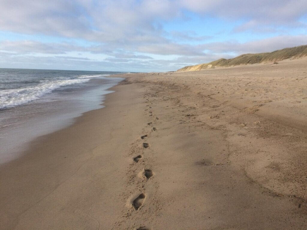 Wandelen, presteren, creativiteit